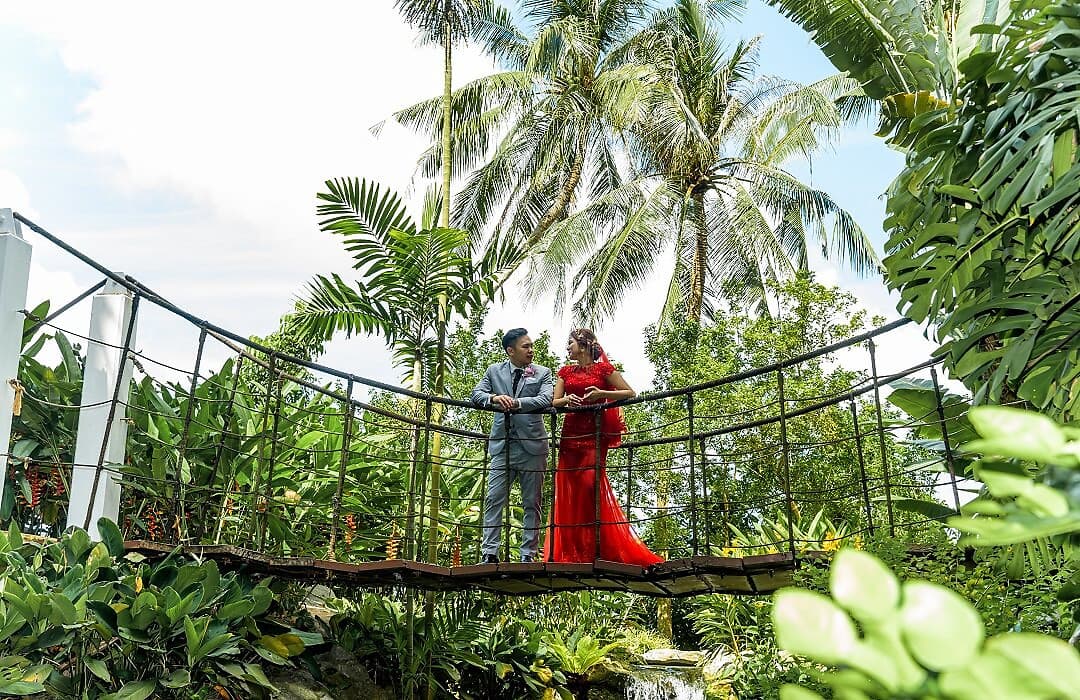 Matt & Joyce Lovebird